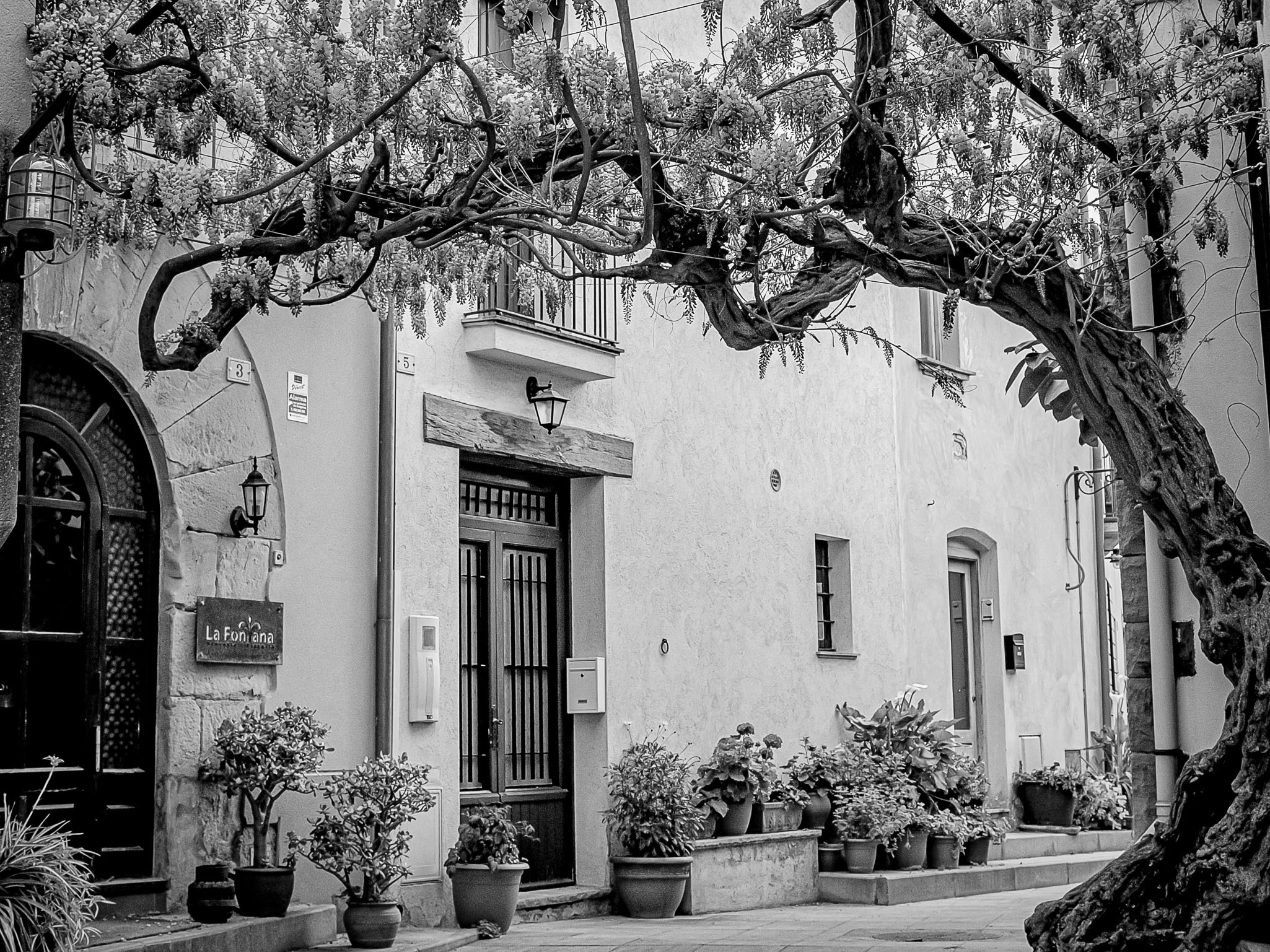 Carrer Poeta Maragall